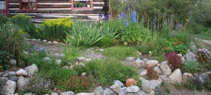High altitude garden in Twin Lakes
